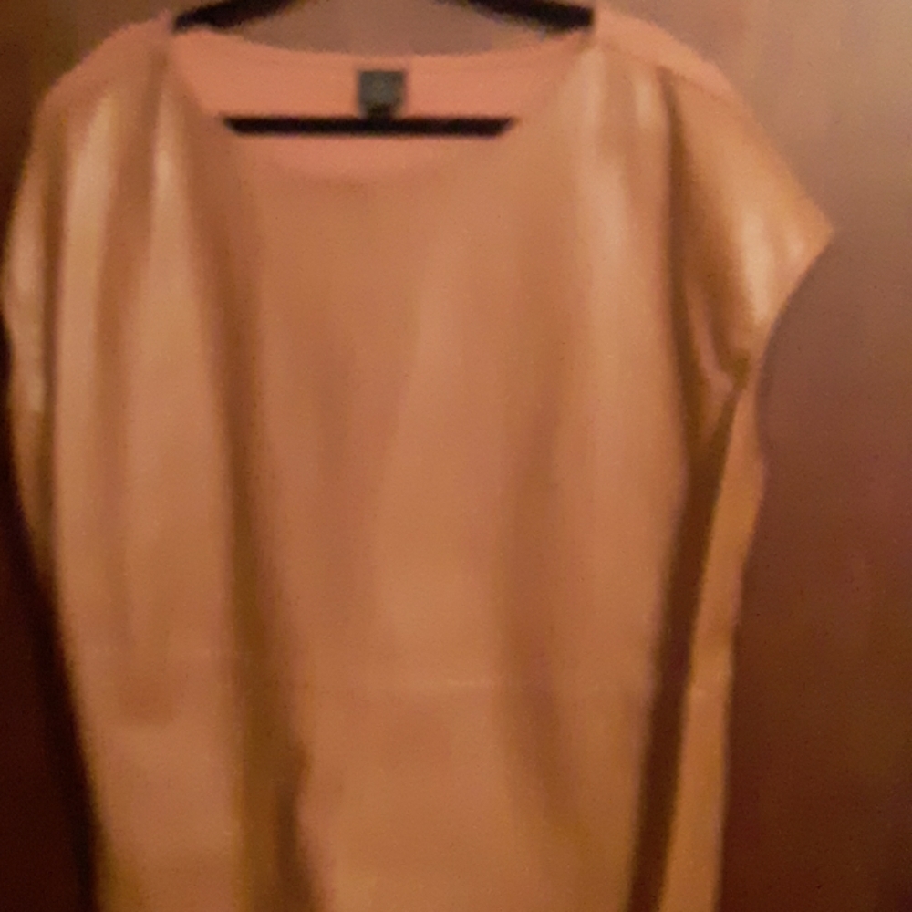 Shell - Picture 3 of 5